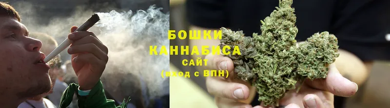 Бошки Шишки THC 21%  сколько стоит  МЕГА ONION  Светлоград 